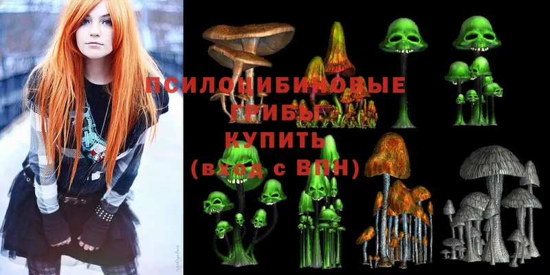 Псилоцибиновые грибы Psilocybine cubensis  купить   Благодарный 